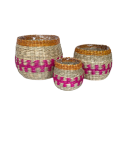 Alternative view of PM24-004