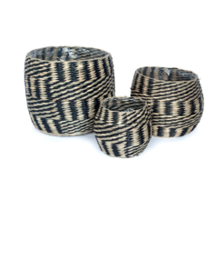 Alternative view of PM24-005