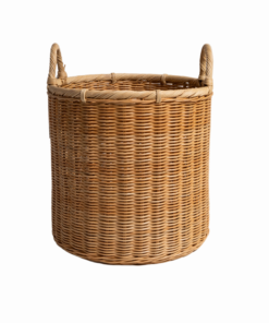 Alternative view of BAR24-002